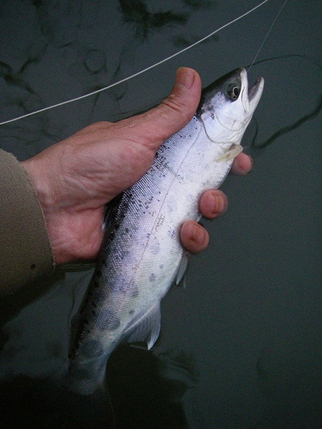f0212059_222034.jpg