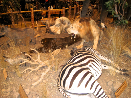 f0238562_10412081.jpg