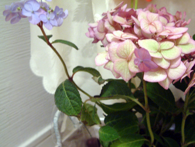 c0050264_11391250.jpg