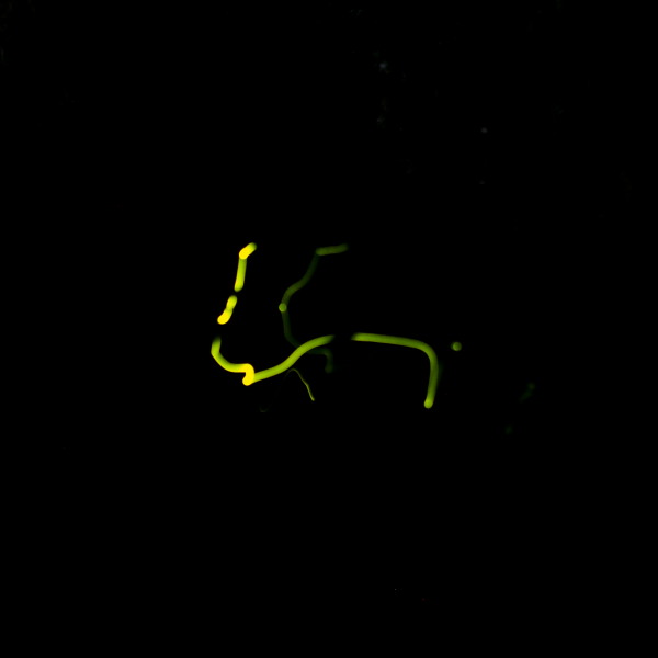 c0122670_23383532.jpg