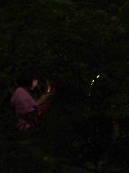 c0122670_23394946.jpg
