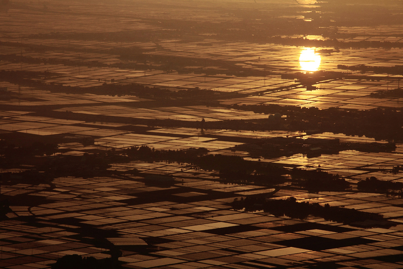 b0168274_12483855.jpg
