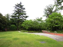 d0217979_19241927.jpg