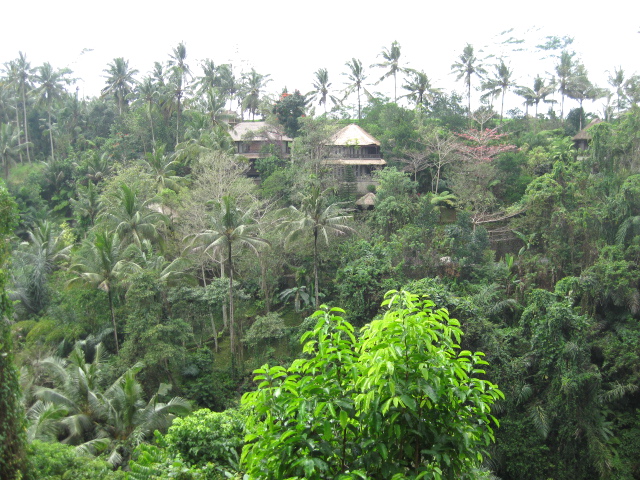 a0154887_10323648.jpg