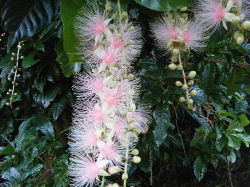 c0064389_11413832.jpg