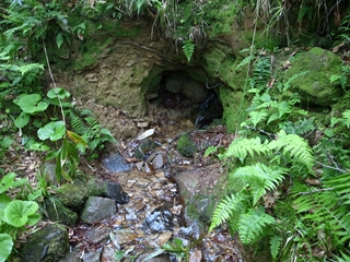 e0271890_345613.jpg