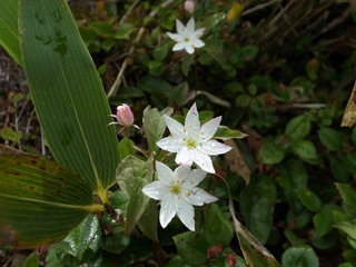 e0271890_352083.jpg