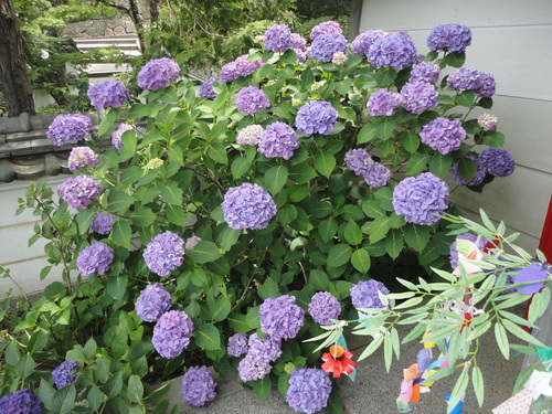 f0131491_1746580.jpg