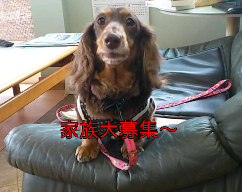 b0237894_18384167.png