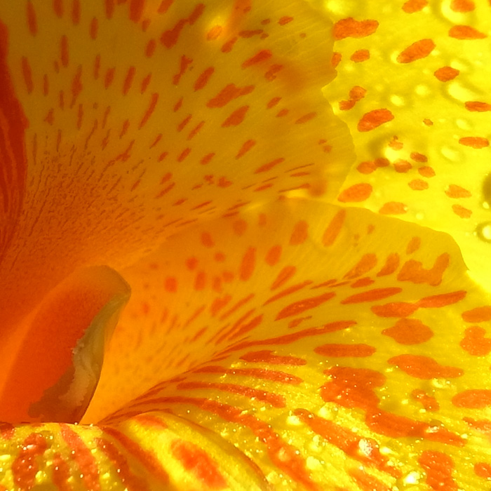 c0049299_1532848.jpg