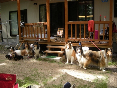 f0081100_13381238.jpg