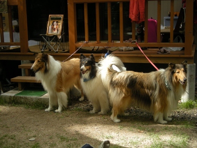 f0081100_1339177.jpg