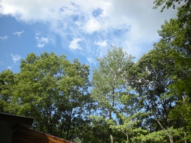f0081100_1340384.jpg