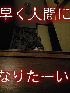 c0035001_14491547.jpg