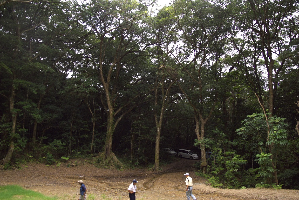 b0174905_8492081.jpg