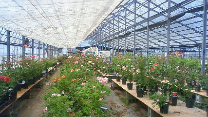 c0117007_2110762.jpg