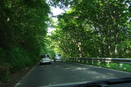 d0250123_21361083.jpg