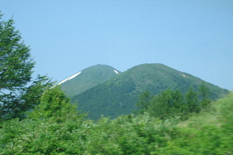 d0250123_21361787.jpg