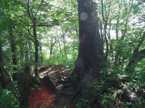 f0118332_22123167.jpg