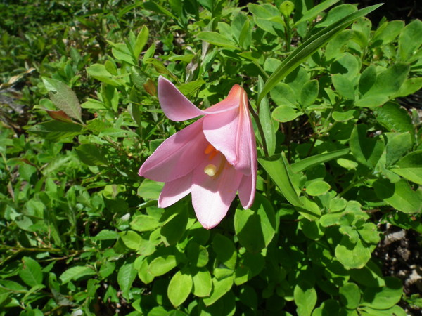 f0118332_22165819.jpg