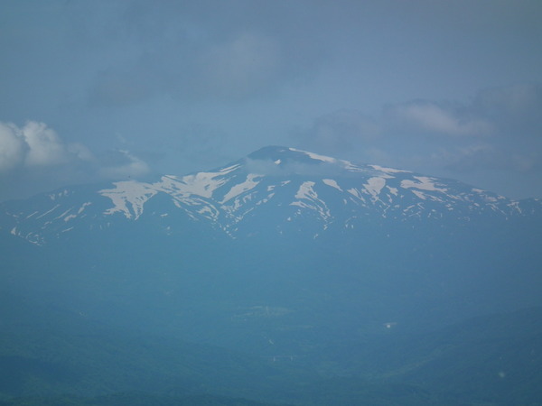 f0118332_2234171.jpg