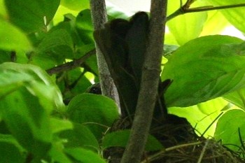 c0134734_061191.jpg