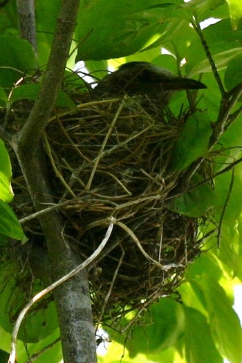 c0134734_065519.jpg