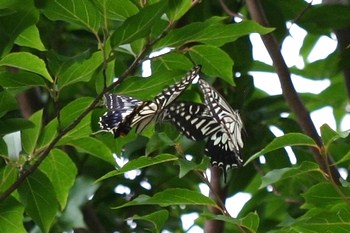 c0134734_06589.jpg