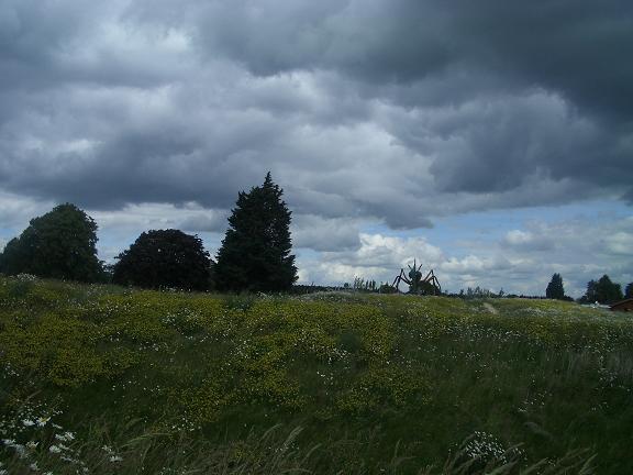b0167736_617259.jpg