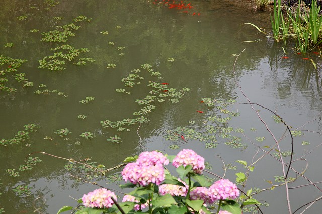 a0242438_1747185.jpg