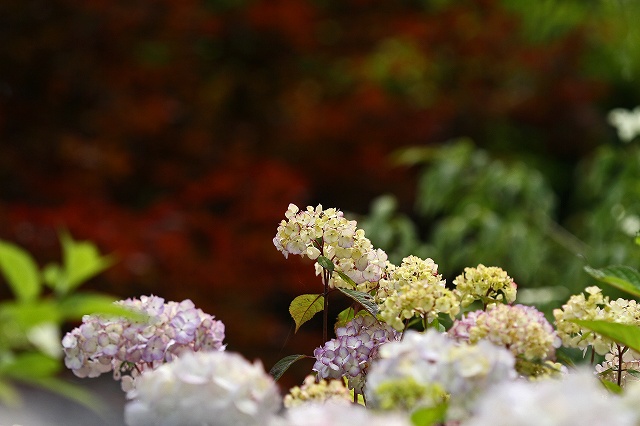 a0242438_17493156.jpg