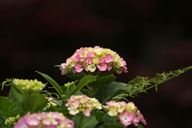 a0242438_1750650.jpg