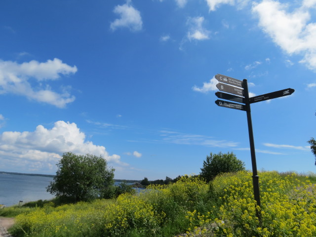 e0039744_1858312.jpg