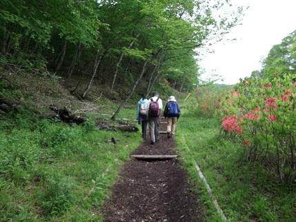 e0248844_119757.jpg