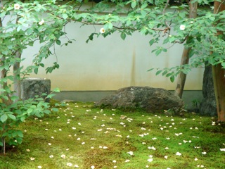 a0185748_23352645.jpg