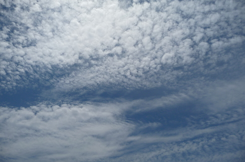 e0002850_19174186.jpg