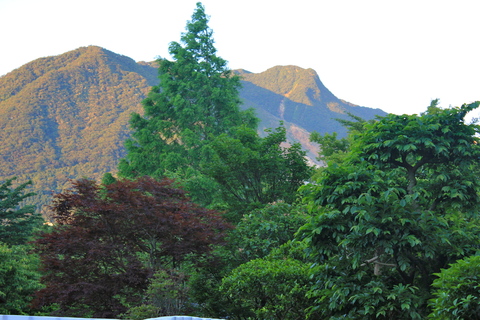 a0248459_19493996.jpg