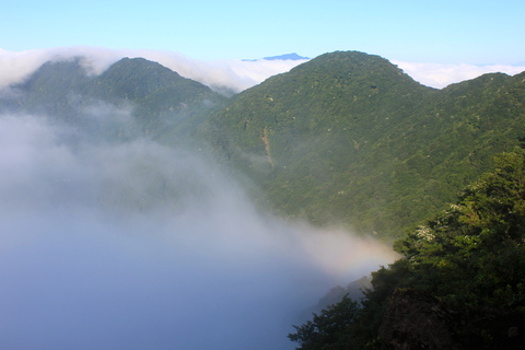 a0248459_19501775.jpg