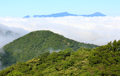 a0248459_19514548.jpg