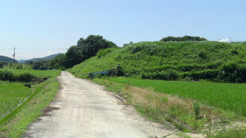 d0107166_842476.jpg
