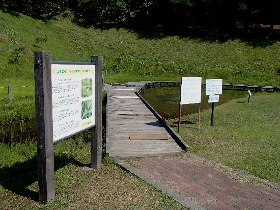 f0208666_16183632.jpg