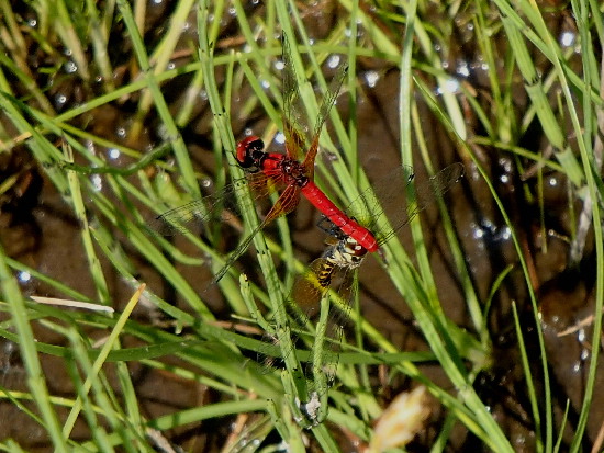 f0208666_16364049.jpg