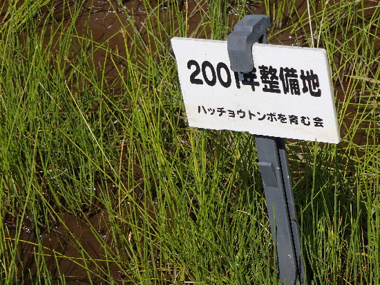 f0208666_16402461.jpg