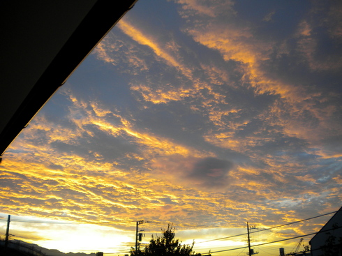 c0038170_9555423.jpg