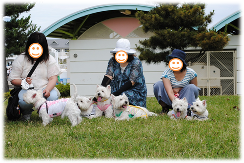b0242873_9351691.png