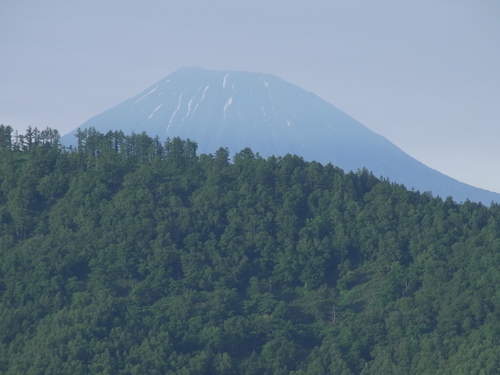 f0130376_8233225.jpg