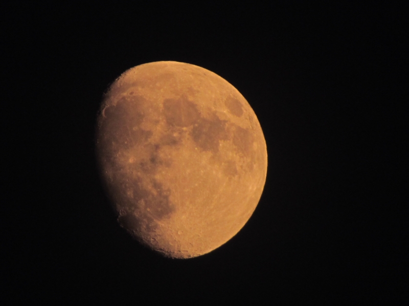 c0183777_20594314.jpg