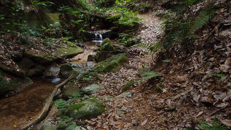 e0024081_135638100.jpg