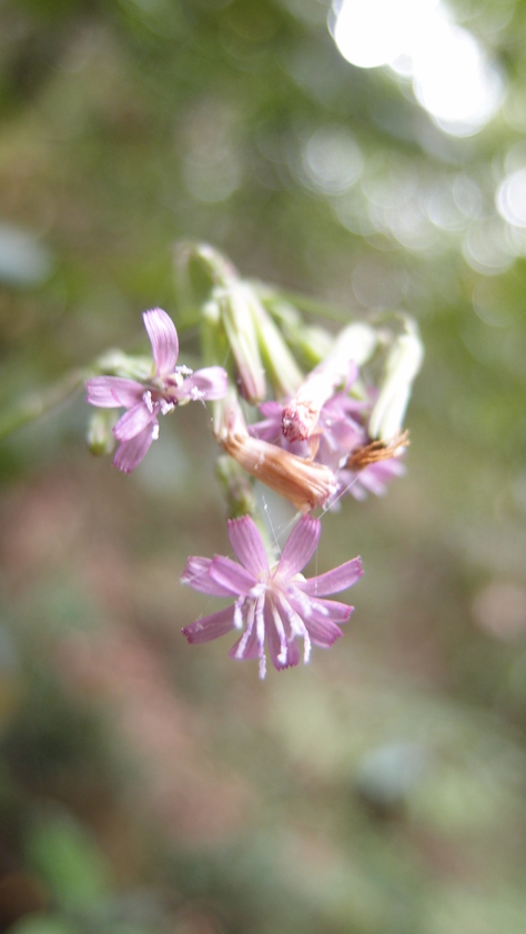 e0024081_1415120.jpg