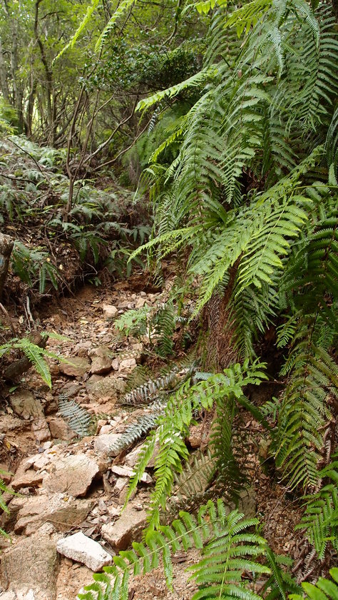 e0024081_1421883.jpg